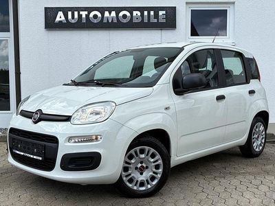 Gebraucht Fiat Panda Easy 69 PS (50 kW) 2019 Weiß Kleinwagen