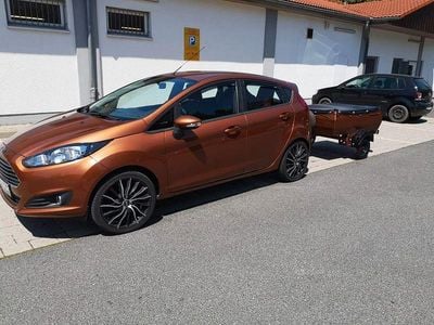Gebraucht Ford Fiesta Titanium 82 PS (60 kW) 2014 Braun Kleinwagen