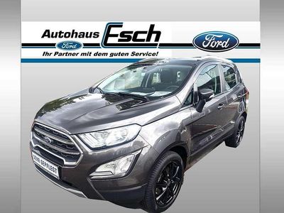 Magnetic grau metallic Gebraucht 2020 Ford Ecosport Titanium SUV | 16.950 € (Teuer)
