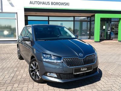 gebraucht Skoda Fabia 1.0 TSI "Best of Drive"