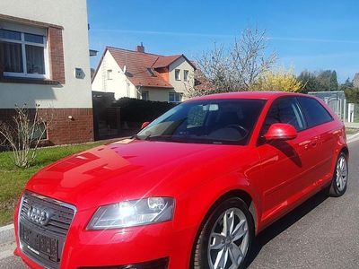 Usata Audi A3 125 CV (91 kW) 2009 Rosso Utilitaria