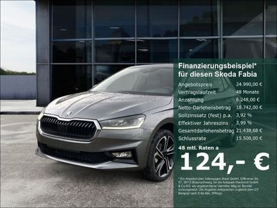 Grau Neu 2025 Skoda Fabia Tour Kleinwagen | 24.990 € (Fairer Preis)