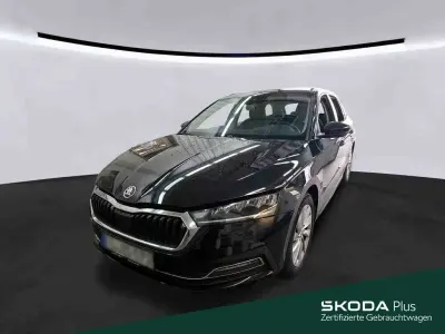 Gebraucht Skoda Octavia
