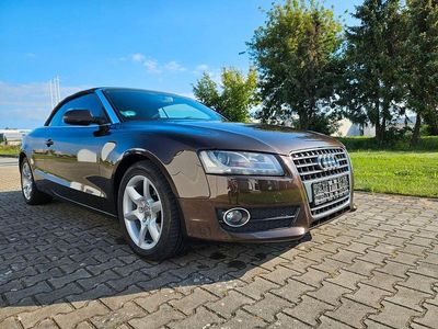 Gebraucht Audi A5 Cabriolet 160 PS (117 kW) 2011 Braun Cabrio