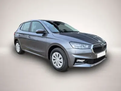 Neu Skoda Fabia Selection 95 PS (69 kW) 2026 Grau Kleinwagen