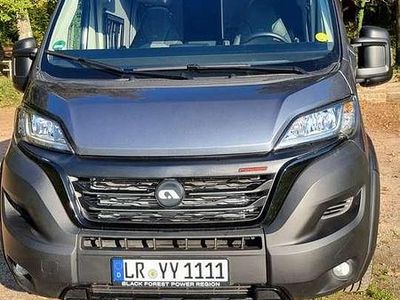Gebraucht Fiat Ducato 179 PS (131 kW) 2023 Grau Van