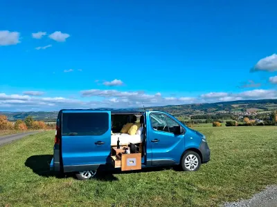Gebraucht Opel Vivaro 140 PS (102 kW) 2015 Blau Van / Kleinbus