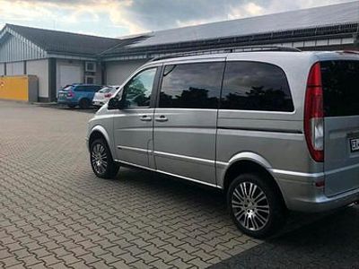 Mercedes Viano