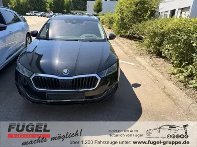 Gebraucht Skoda Octavia
