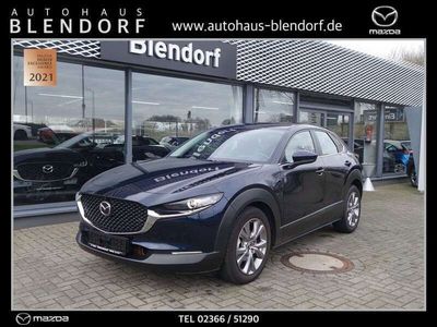 gebraucht Mazda CX-30 Selection 122 360° Monitor|Navigation|Login