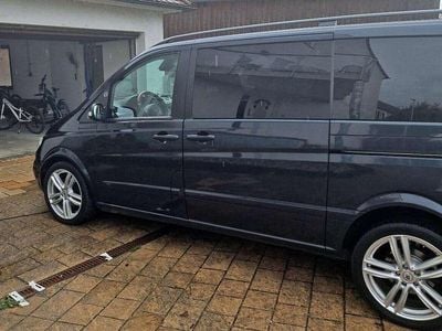 Mercedes Viano