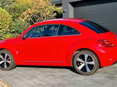 VW Beetle