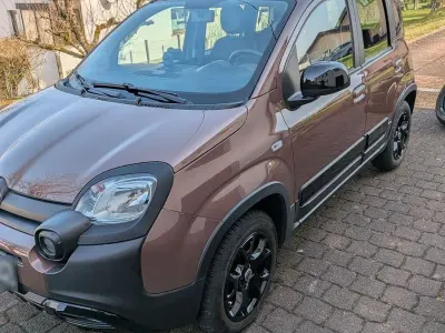 Occasion Fiat Panda 69 ch (50 kW) 2020 Marron Citadine