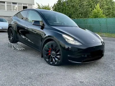 Usata Tesla Model Y Performance 392 kW (534 CV) 2024 SUV