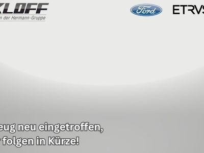 gebraucht Ford Fiesta 1.0 EcoBoost M-Hybrid Titanium *NAVI*SYNC