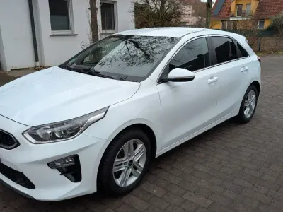 Brugt Kia Ceed Vision 140 HK (102 kW) 2019 Hvid Hatchback