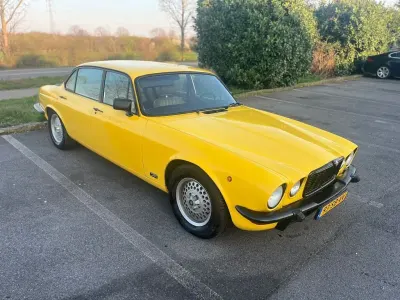 Gebraucht Jaguar XJ6 179 PS (131 kW) 1978 Gelb Limousine