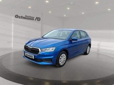 Gebraucht Skoda Fabia Active 80 PS (58 kW) 2022 Blau Kleinwagen