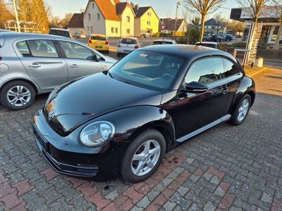 VW Beetle