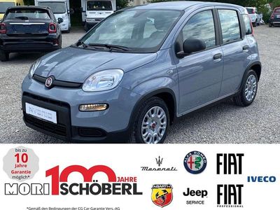 Grau Gebraucht 2024 Fiat Panda Kleinwagen | 13.990 € (Fairer Preis)
