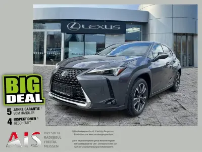 Gebraucht Lexus UX 250h 184 PS (135 kW) 2023 Sonic grey SUV
