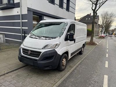 Gebraucht Fiat Ducato 116 PS (85 kW) 2019 Weiß Van