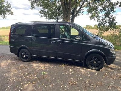 Mercedes Viano