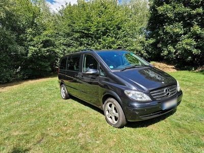 Mercedes Viano