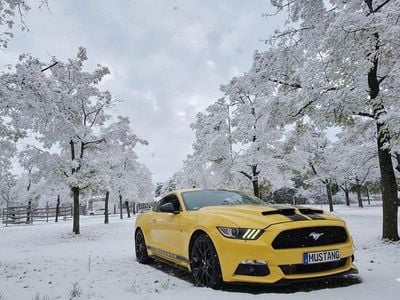Gelb Gebraucht 2017 Ford Mustang Coupé | 19.300 € (Superpreis)