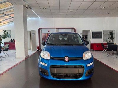 Neu Fiat Panda Icon 69 PS (50 kW) 2025 Blau Kleinwagen