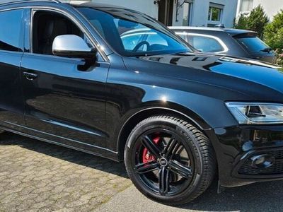 gebraucht Audi SQ5 Competition 3.0 TDI V6