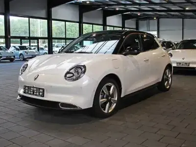 Gebraucht Ora 03 Pro+ 125 kW (171 PS) 2023 Weiß Kleinwagen