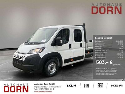 Neu Fiat Ducato 179 PS (131 kW) 2026 Van