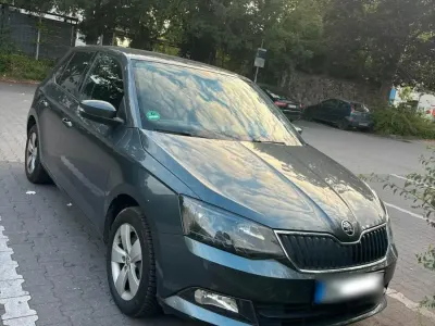 Gebraucht Skoda Fabia 110 PS (80 kW) 2017 Grau Kleinwagen