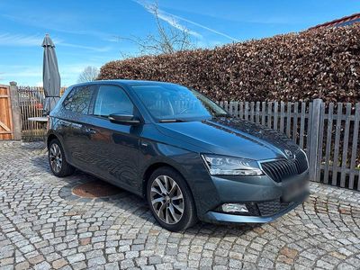 Gebraucht Skoda Fabia Best of 95 PS (69 kW) 2021 Grau Kleinwagen