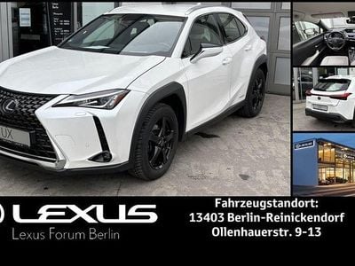 Brugt Lexus UX 250h Executive Line 184 HK (135 kW) 2022 Hvid SUV