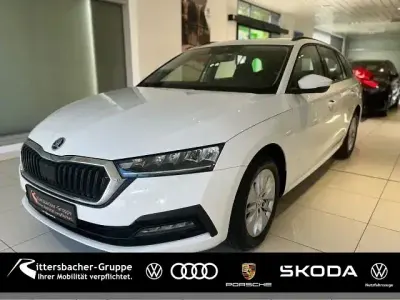 Gebraucht Skoda Octavia