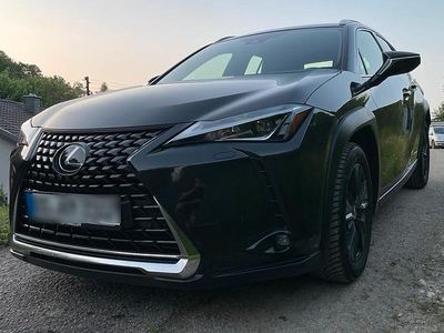 Lexus UX 250h