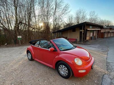 VW Beetle