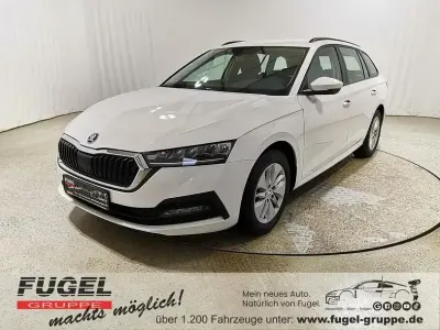 Gebraucht Skoda Octavia Active 110 PS (80 kW) 2022 Candyweiss Kombi