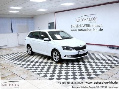 Gebraucht Skoda Fabia Joy 90 PS (66 kW) 2016 Weiß Kleinwagen