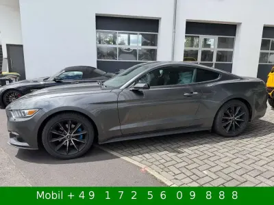 Gebraucht Ford Mustang