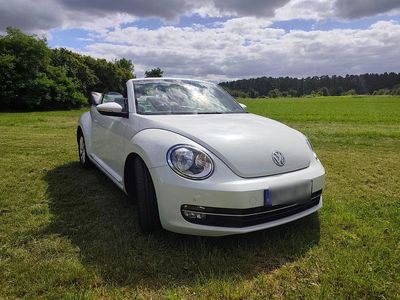 VW Beetle