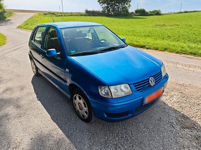 VW Polo