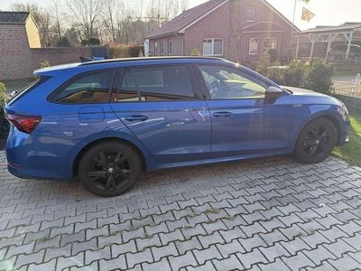 Gebraucht Skoda Octavia SportLine 150 PS (110 kW) 2023 Blau Kombi