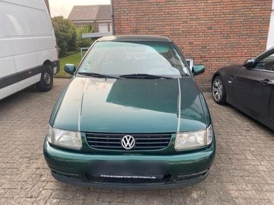 VW Polo
