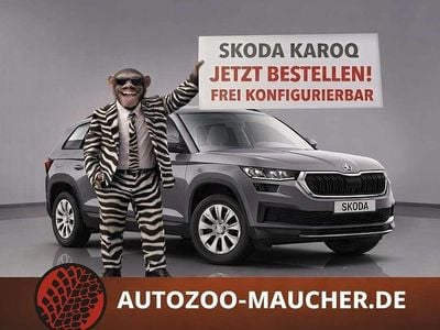 Nuova Skoda Karoq Selection 150 CV (110 kW) 2026 Grigio SUV