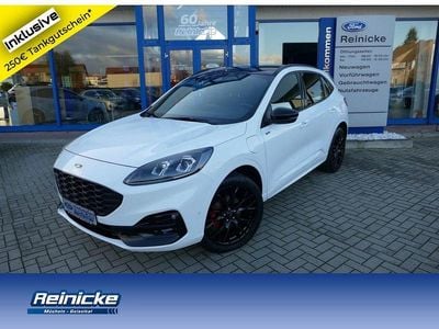 Gebraucht Ford Kuga ST-Line X 224 PS (164 kW) 2023 Weiß SUV