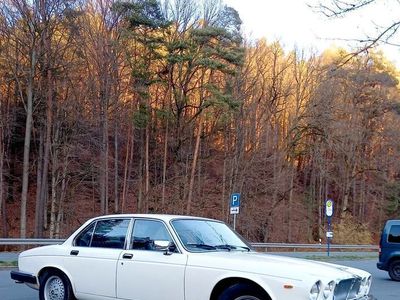 Gebraucht Jaguar XJ 295 PS (216 kW) 1984 Weiß Limousine