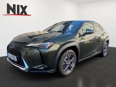 Gebraucht Lexus UX 250h Executive Line 184 PS (135 kW) 2024 Grün SUV